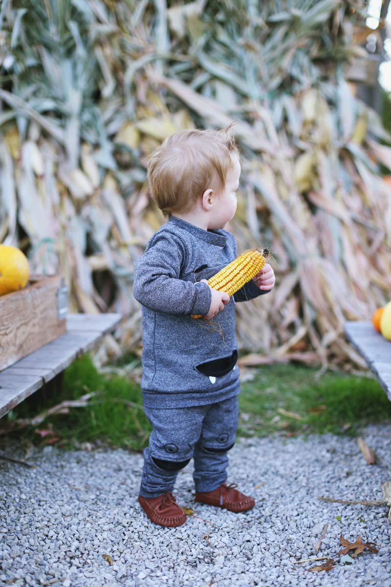 Fall corn for Abby's toddler