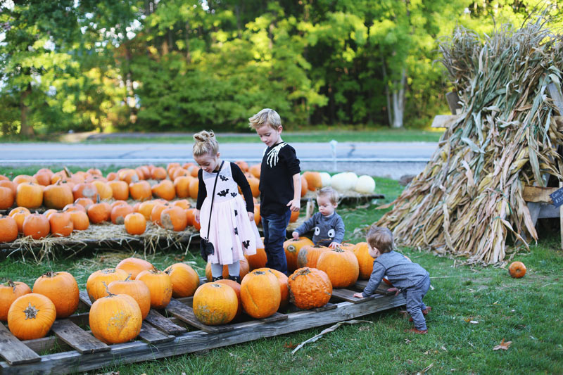 Abby's four children inspect an array of pumpkins.