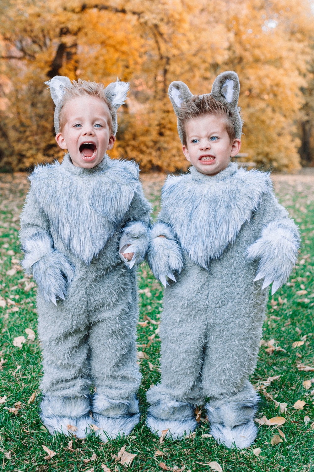 red riding hood werewolf costume