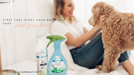 febreze pets