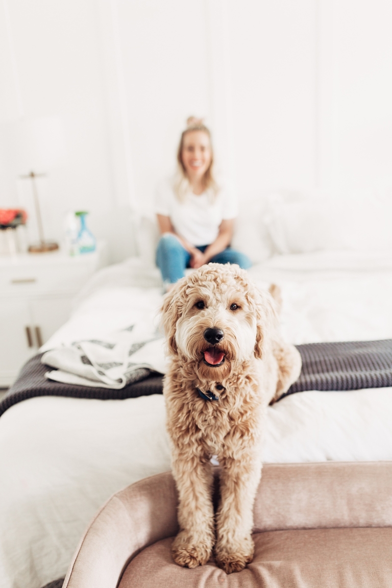 How To Keep Your Home Fresh With Pets - Twist Me Pretty