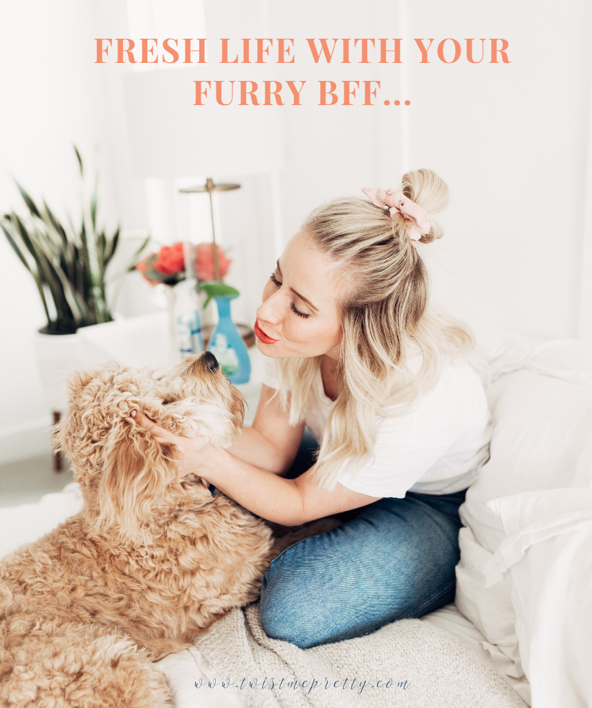 Pets with Febreze and Twist me Pretty Twist Me Pretty