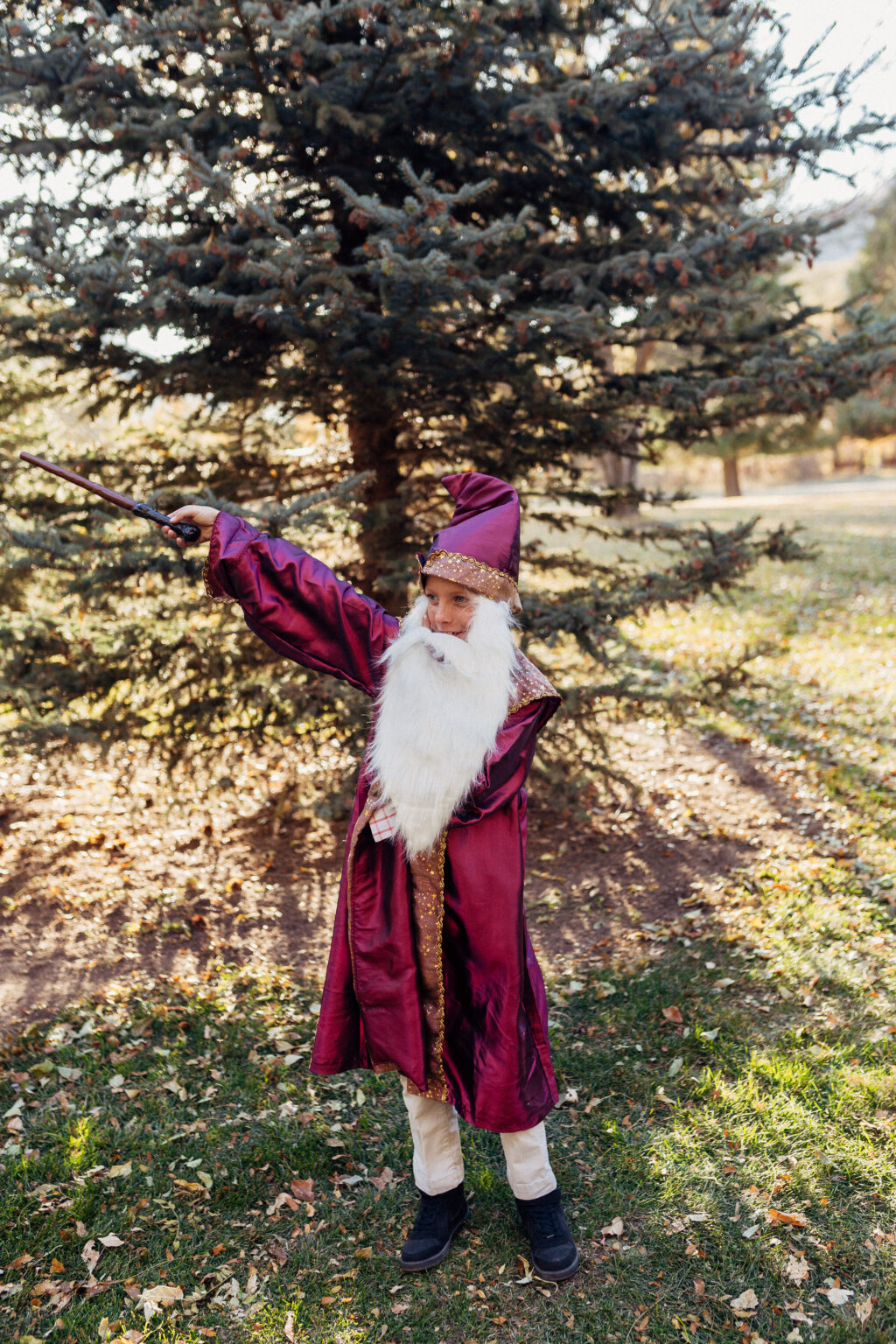 dumbledore costume for kids