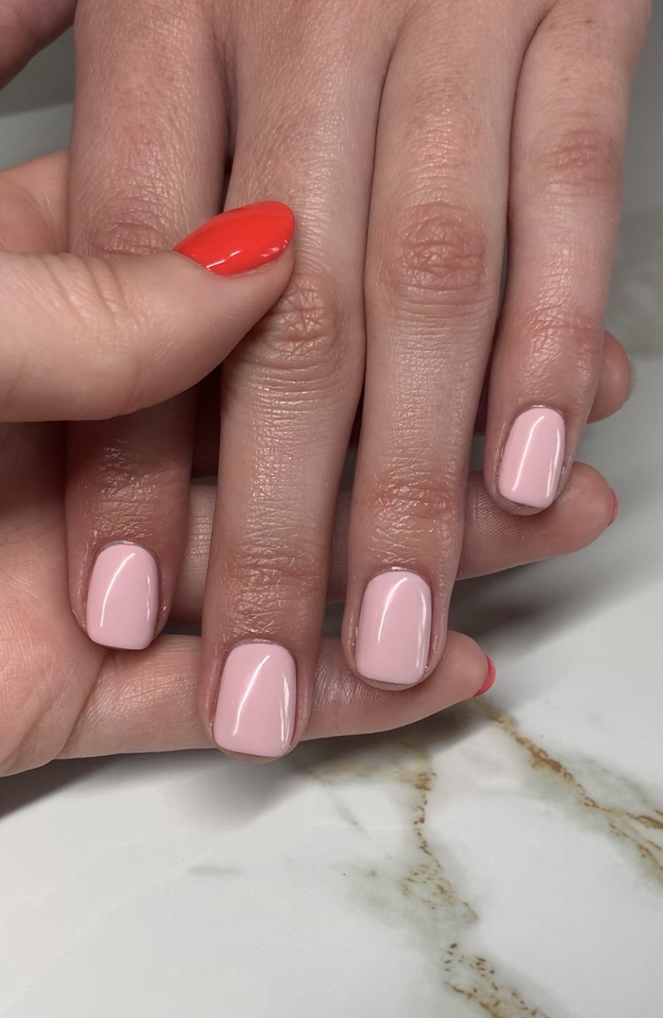 The Benefits of Vegan and Cruelty-Free Gel Polish | The GelBottle Inc™ |  TGB Blog