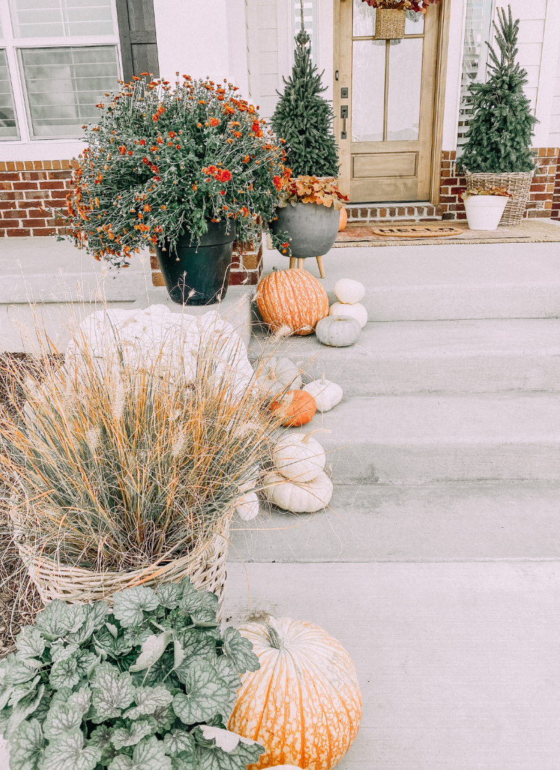 Mums, pumpkins, and grasses are perfect for fall! www.twistmepretty.com