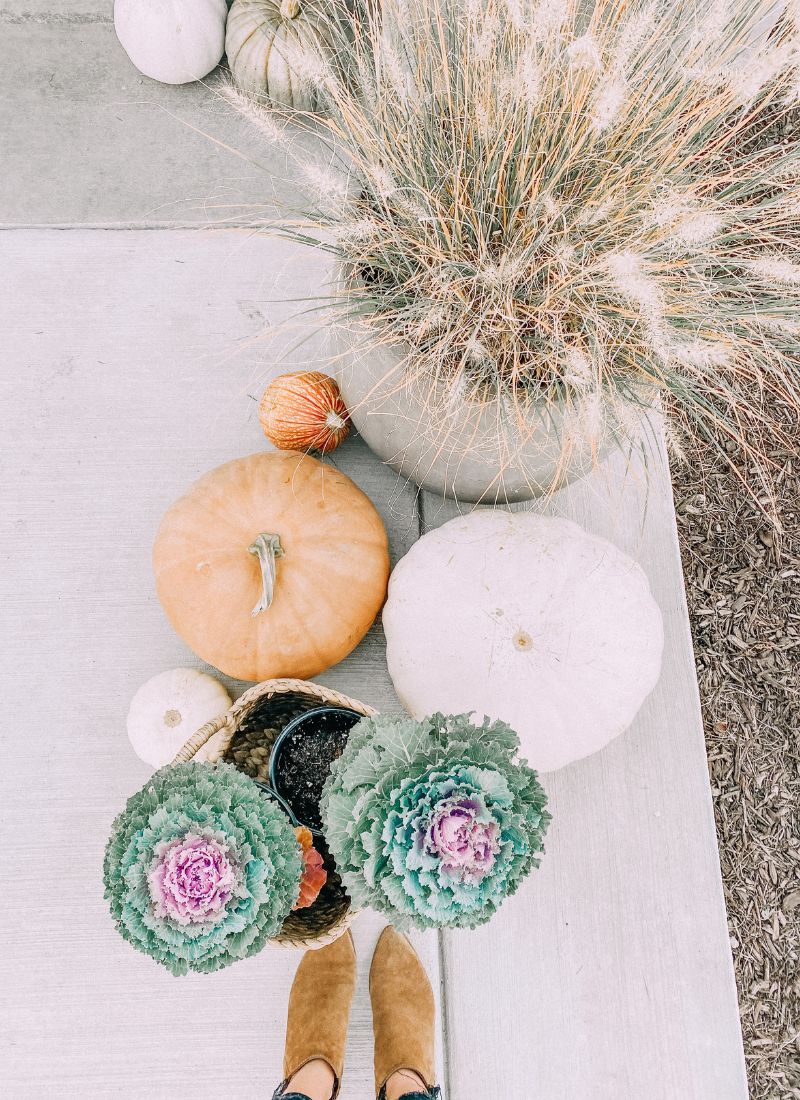 Pumpkins, kale, and grasses are perfect for a fall front porch www.twistmepretty.com